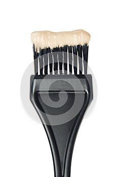 Hair dye brush