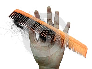 Hair falls out after combing on a white background