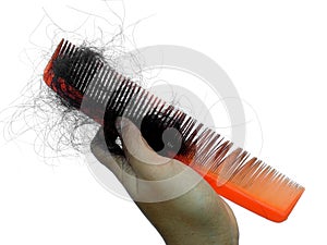 Hair falls out after combing on a white background