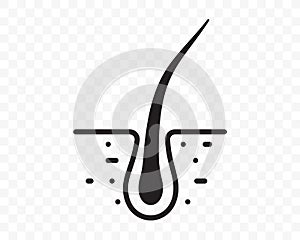 Hair follicle vector line flat icon. Hair bulb in follicle pore, shampoo treatment, dermatology and hair transplantation design