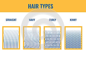 Hair growth types chart set of straigt, wavy, curly and kinky strands