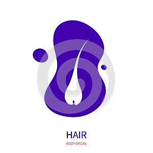 Hair integumentary system white silhouette pictogram icon photo