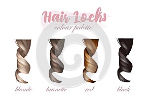 Hair locks colour palette natural shades