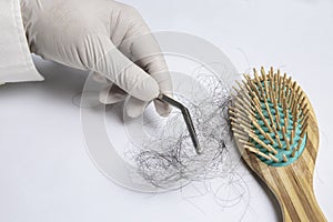 Hair loss experts wear gloves using forceps pick up hair from brush