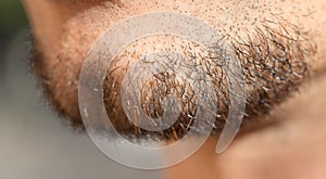 Hair on a man`s beard. close