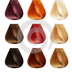 Hair Palette. Colors Set