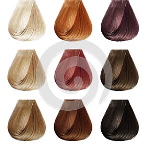 Cabello palets. colores colocar 