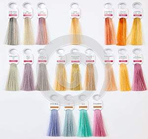 Hair palette dyed different colors. Hairstyle wig tints set for beauty industry