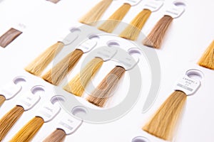 Hair palette dyed different colors. Hairstyle wig tints set for beauty industry