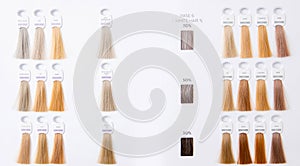 Hair palette dyed different colors. Hairstyle wig tints set for beauty industry