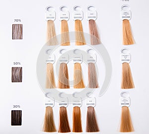 Hair palette dyed different colors. Hairstyle wig tints set for beauty industry. Isolated background