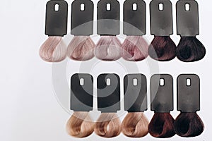 Hair Palette samples of different colors. Tints set.