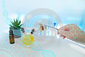 Hair sample, curls in a bag in the hands of a laboratory assistant for research by genetic research in the laboratory,