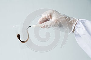 Hair sample, curls in a bag in the hands of a laboratory assistant for research by genetic research in the laboratory, concept of