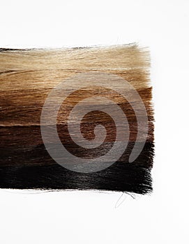 Hair samples of different gradient colors