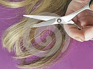 Hair scissors background hand beauty hairdressing concept wig, hairdressing