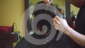 Hair stylist cutting female's brunette hair