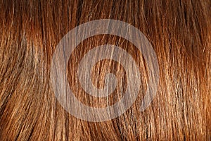 Hair texture close up chestnut golden brown color, closeup view of bunch of shiny straight brown hair