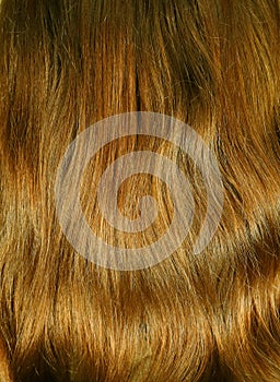 Hair texture close up golden brown honey color, closeup view of bunch of shiny straight brown hair