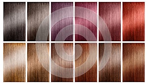 Hair tints colors set palette on white background