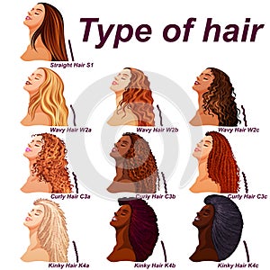 Hair types chart displaying all types and labeled