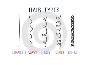 Hair types with curl types labeled. Curly girl method (CGM) concept