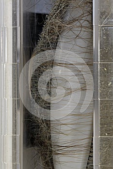 Hair in the vacuum cleaner