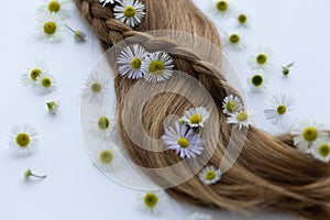 Hair with white wildflowers, closeup. Hair treatment concept.