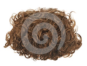 Hair wig isolated
