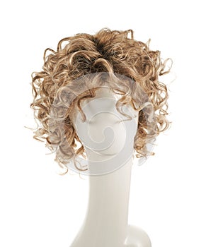 Hair wig over the mannequin head