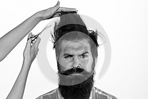 Haircut. Barber Shop procedures. Hairdresser concept. Woman cuts hair with scissors. Man with long beard, mustache and