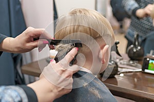 Haircut boy in the salon hair clippers.