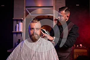 Haircut at the hairdresser, in salon. barber male cuts the hair on the handsome young client`s head