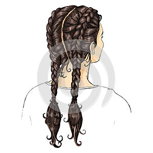 Haircut, two long braids, back view, black hair, , for presentation of hair clips, hair ties, shinyen on a white background