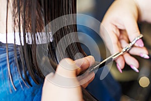 Haircuting in a beauty professional salon. hairdresser`s hands cutting brunette hair close photo