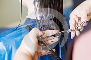 Haircuting in a beauty professional salon. hairdresser`s hands cutting brunette hair close photo