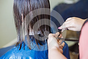 Haircuting in a beauty professional salon. hairdresser`s hands cutting brunette hair close photo