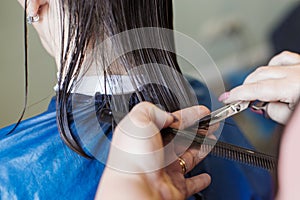 Haircuting in a beauty professional salon. hairdresser`s hands cutting brunette hair close photo