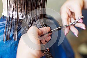 haircuting in a beauty professional salon. hairdresser's hands cutting brunette hair close photo