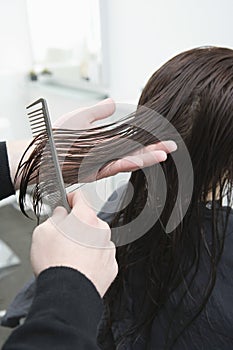 Hairdresser Combing Female Client's Hair