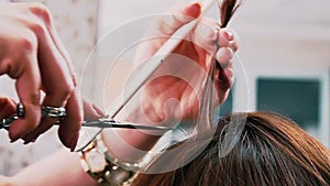 Hairdresser cuts hair to the client close-up