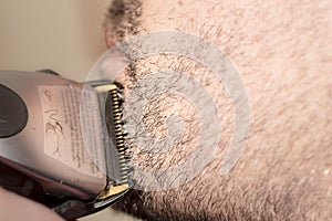 Hairdresser, cutting beard in her work place