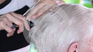 Hairdresser cutting client`s hair in salon with scissors and comb