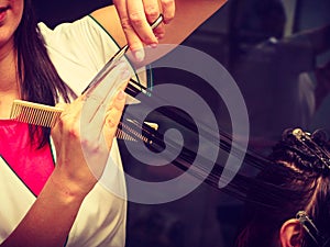 Hairdresser cutting dark hair using professional scissors