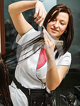 Hairdresser cutting dark hair using professional scissors