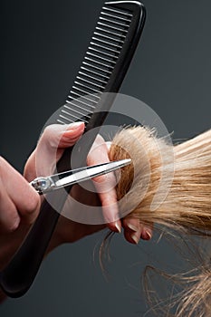 Hairdresser cutting hair