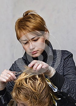 Hairdresser cutting hair