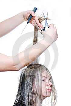 Hairdresser cutting the hair