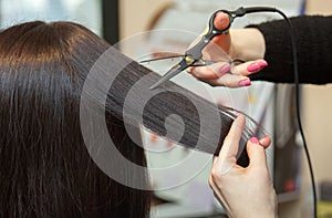 The hairdresser does a haircut with hot scissors of hair