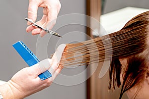 Hairdresser cuts hair of woman